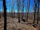 Lot 78 Elk Creek Mountain Parkway - Photo 1