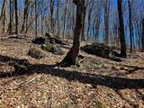 Lot 78 Elk Creek Mountain Parkway - Photo 11