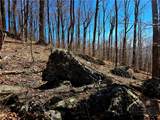 Lot 78 Elk Creek Mountain Parkway - Photo 12