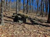 Lot 78 Elk Creek Mountain Parkway - Photo 13