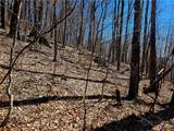 Lot 78 Elk Creek Mountain Parkway - Photo 14