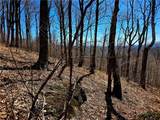 Lot 78 Elk Creek Mountain Parkway - Photo 15
