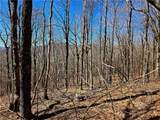 Lot 78 Elk Creek Mountain Parkway - Photo 16