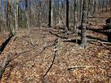 Lot 78 Elk Creek Mountain Parkway - Photo 17