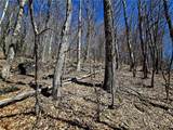 Lot 78 Elk Creek Mountain Parkway - Photo 18