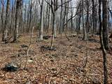 Lot 78 Elk Creek Mountain Parkway - Photo 19