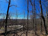 Lot 78 Elk Creek Mountain Parkway - Photo 23