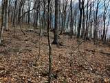 Lot 78 Elk Creek Mountain Parkway - Photo 9