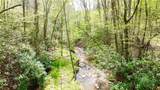 TBD Greer Town Road - Photo 1
