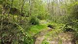TBD Greer Town Road - Photo 2