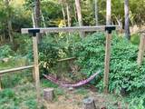 241 Mountain Shadows Road - Photo 16