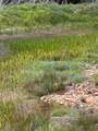 TBD Fraser Road - Photo 16