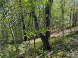 TBD Ski Mountain Road - Photo 1