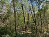 TBD Ski Mountain Road - Photo 11