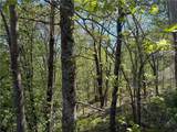 TBD Ski Mountain Road - Photo 5