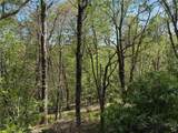 TBD Ski Mountain Road - Photo 6