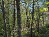 TBD Ski Mountain Road - Photo 8