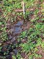TBD Ed Vanover Road - Photo 5