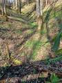 TBD Ed Vanover Road - Photo 7