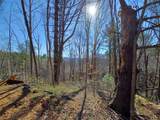 TBD Ed Vanover Road - Photo 8