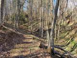 TBD Ed Vanover Road - Photo 9