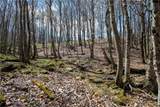 Lot 36 Poplar Forest Drive - Photo 12