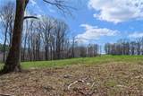 Lot 36 Poplar Forest Drive - Photo 8