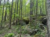 TBD Spice Creek Road - Photo 10