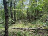 TBD Spice Creek Road - Photo 11