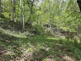 TBD Spice Creek Road - Photo 12