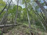 TBD Spice Creek Road - Photo 7