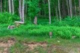 ES-10 Eagle Springs Trail - Photo 2