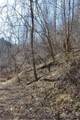 1617 Pot Rock Road - Photo 41