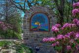 510 Elderberry Ridge Road - Photo 23