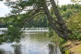 84 Pine Ridge Loop - Photo 21