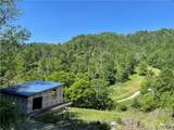 TBD George's Gap Road - Photo 18