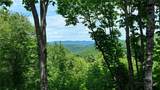 107 Woodridge Rd + 4.6 Acres - Photo 38