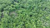 107 Woodridge Rd + 4.6 Acres - Photo 45