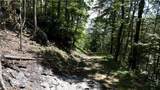 TBD Nettles Knob - Photo 2
