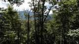 TBD Nettles Knob - Photo 5