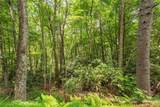 Lot 12 Callalantee Drive - Photo 31