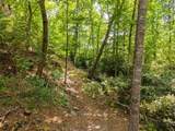 132 Sparks Ridge Lane - Photo 31