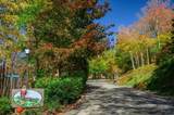 Lot 26 Rocky Parkway - Photo 9