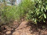 Lots 1, 3 & 5 Cora's Path - Photo 11