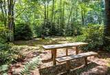 3434 Old Jonas Ridge Road - Photo 28