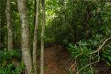 Lot 24 Red Wolf - Photo 31