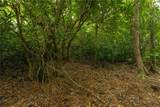 Lot 24 Red Wolf - Photo 32