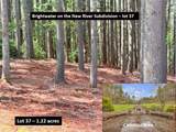 Lot 37 Smoke Rise Path - Photo 1