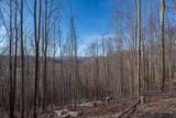 TBD Us Hwy 421 - Photo 23