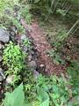 TBD Johns Mountain Road - Photo 3